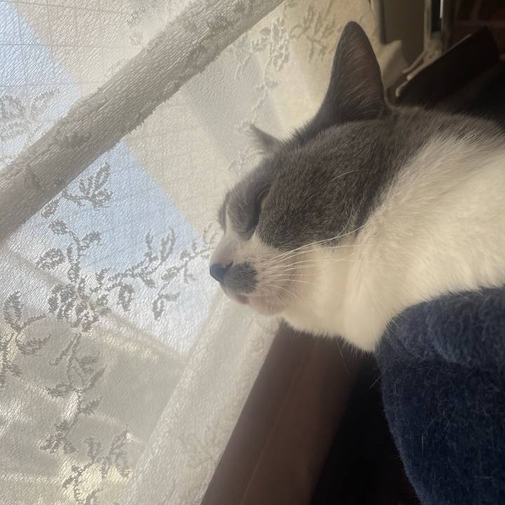 7742ac08 8c3e 400b bd2b 19651e8d9a05 1696291004485