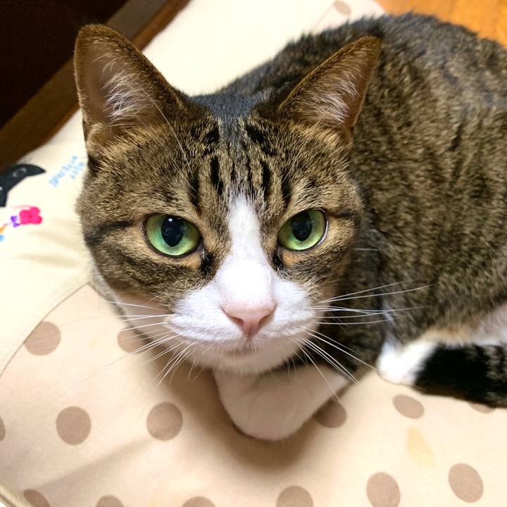 7742e5f1 4f2b 4a87 97f5 2698ce81a12f 1595836460372