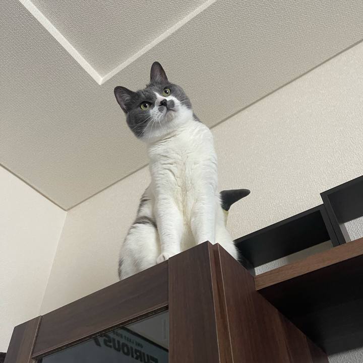 77431dd1 d763 4d47 9a2f 5f7709af7071 1688254825296