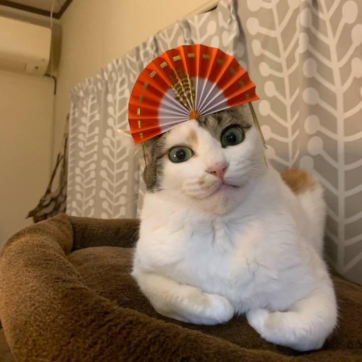 77439d13 d09a 442f 9d08 dbf6c6c6401c 1673087087520