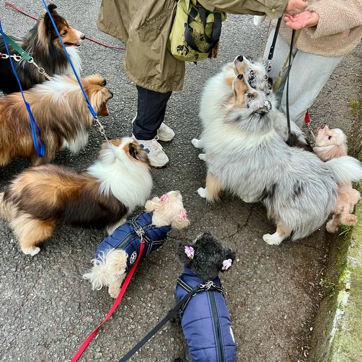 7743a0ee d3ab 4b2c 96b0 970291609028 1767169092511