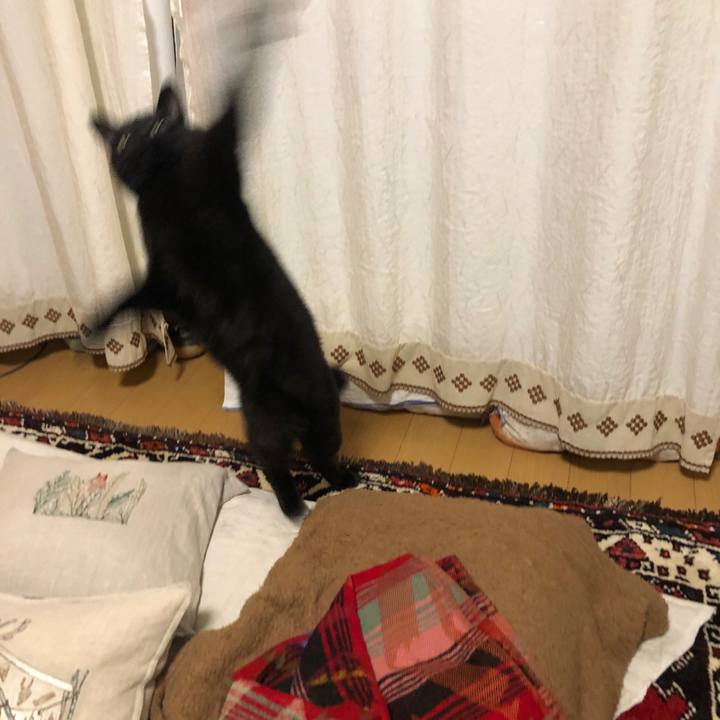 7743a5aa 61f7 4c8c 81c7 bcc053f29fb7 1583678723111