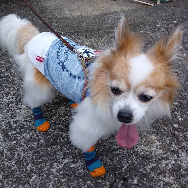 7744043c 8290 46f6 a11a cdc14fb5c73d 1534430443500