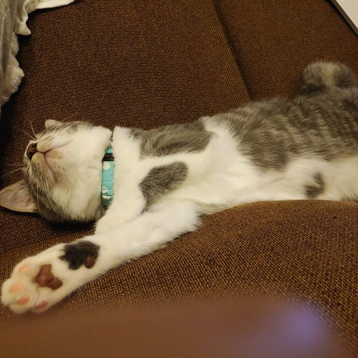 77440c9d 040a 4928 a9e9 a5421ffe6269 1567766671537