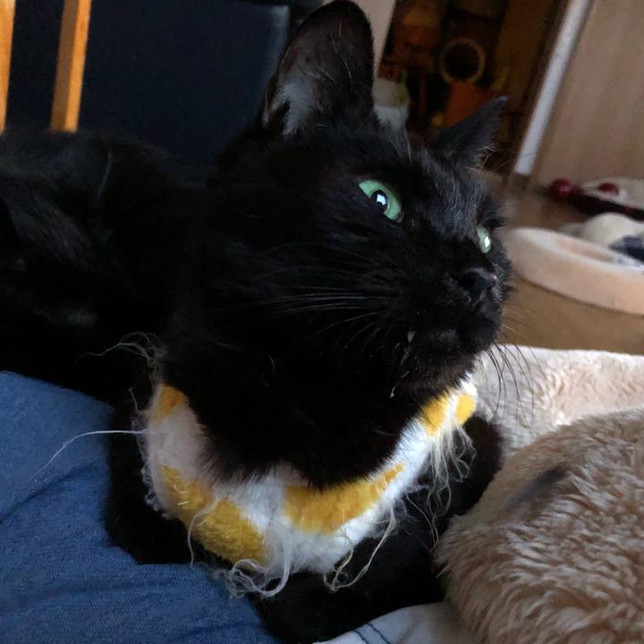 77440fb8 0f5d 4f01 b2c0 7df28dccea7f 1556376655993