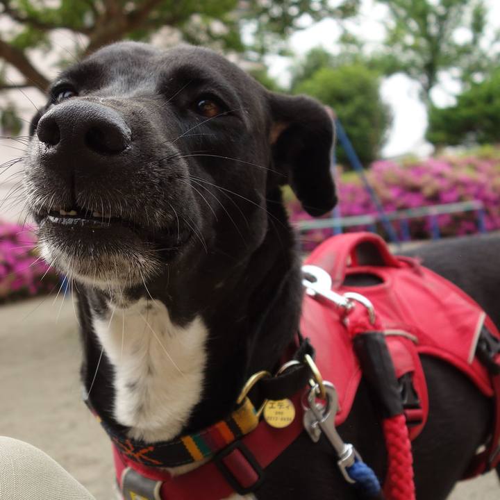 77444e51 43b9 447d b254 785be86d82ab 1589243765490