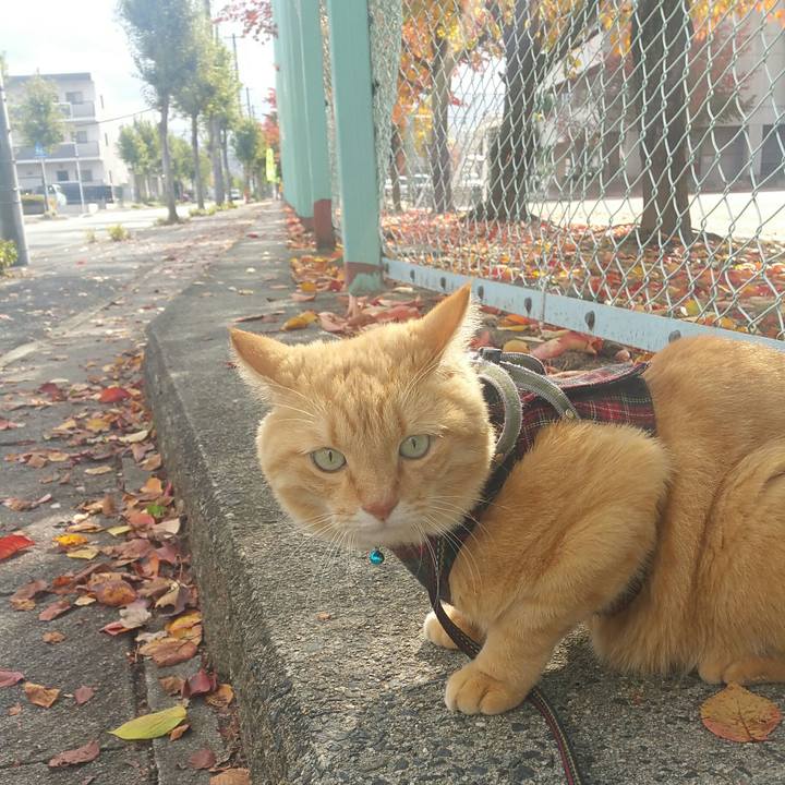 774472f8 16b7 4e55 bff3 a71174c70448 1572408850425