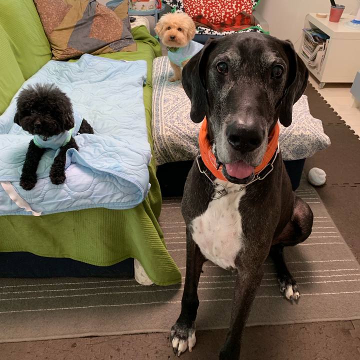 7744d659 cb7a 455f a8f2 8d1c33b895cd 1564093416190