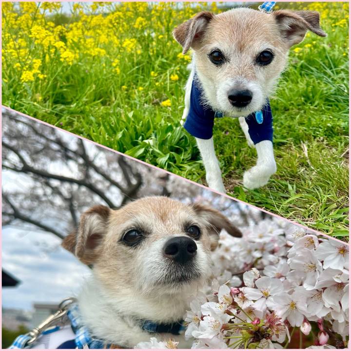 7744dbba c26e 4227 ab2d 59e824729064 1712492402810