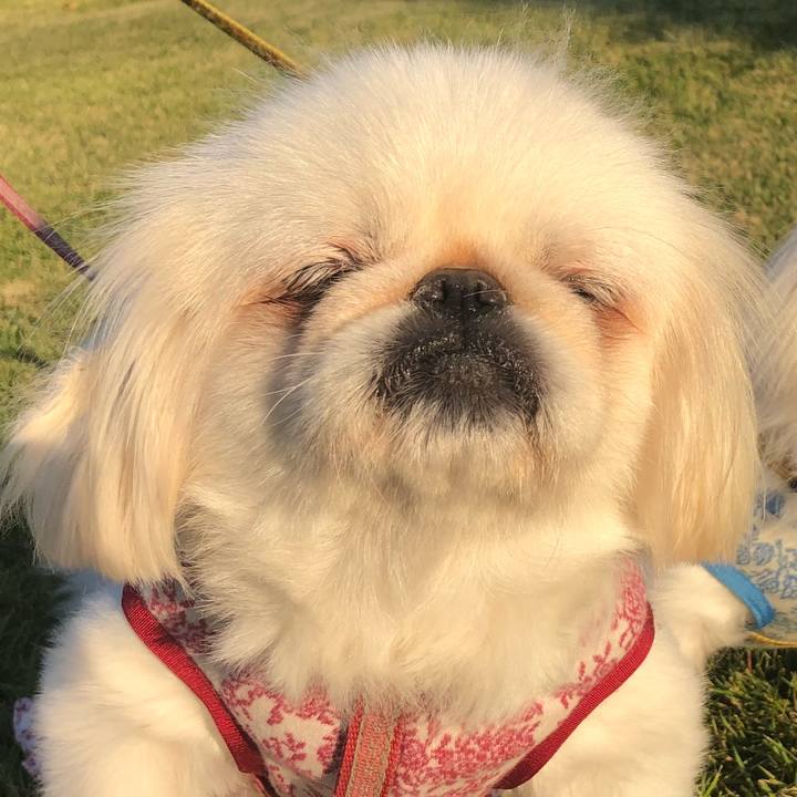 7744e07d 2db2 40dc aad9 059b37eebf34 1540439102037