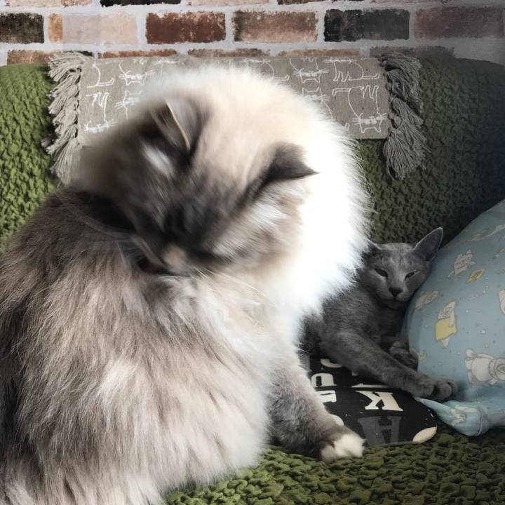 77450c7d 30df 45e9 a81e 4a8a00a2b362 1525269918099