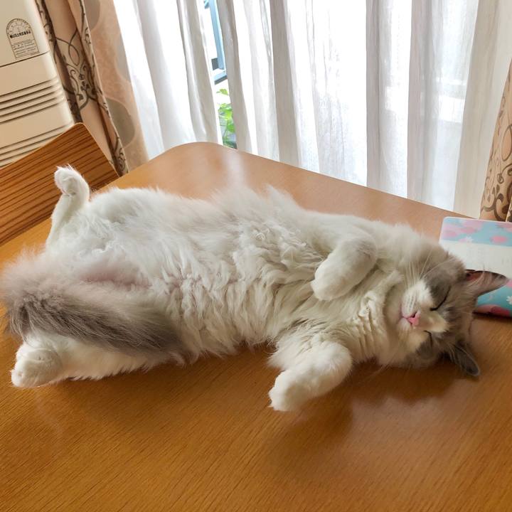 7745183b b4f6 4aaa 9536 ed778e4580b0 1597207044160