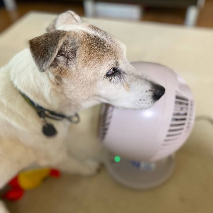 77453fd7 5958 489c b46f 648b0e5368bd 1723274188762