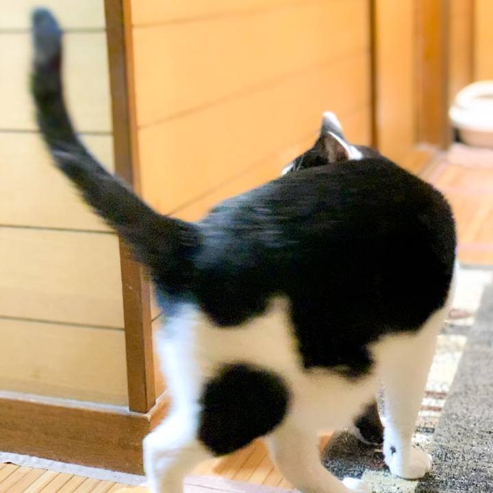 77454437 623f 4278 9d2c a059d20627d8 1593397253585