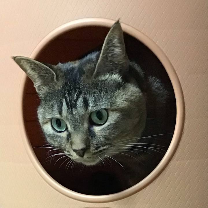 77455c2e 8868 426f 98e8 7d16544de047 1731149573173