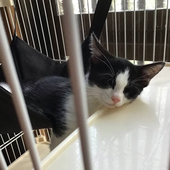 7745832c 3992 4581 a5ed 35aa26ca7ce5 1626420766638