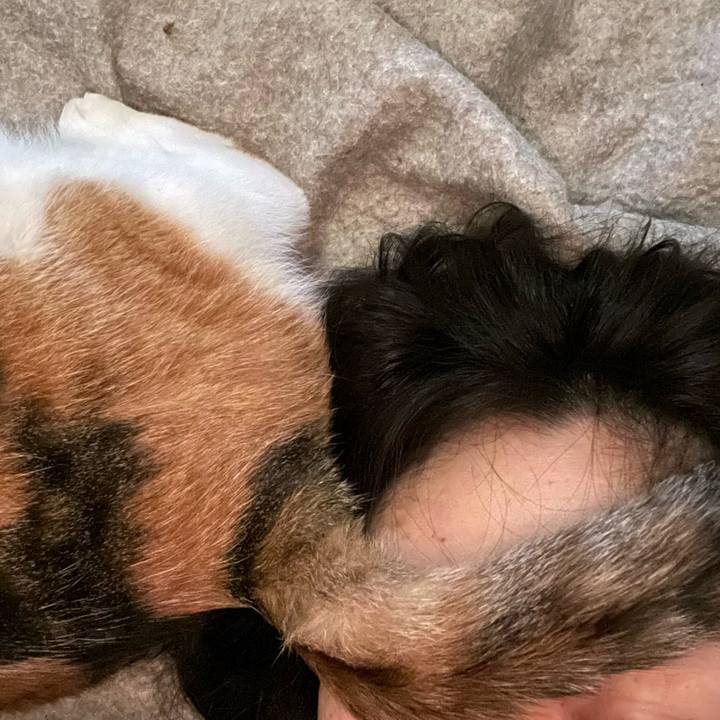 7745844b c1ed 4b2b 93f3 fc7b8ef8a78a 1678694700277