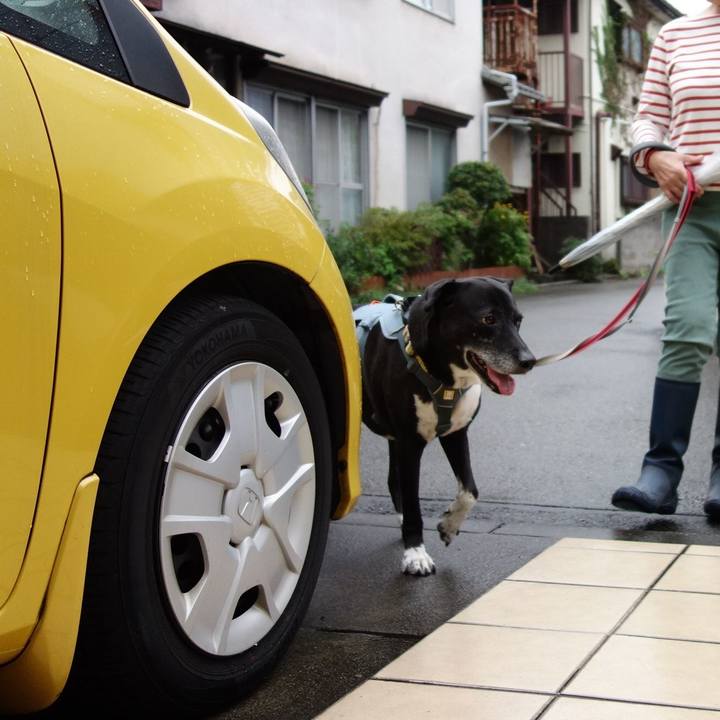 77459513 7b8e 4a90 9180 a967745e956b 1729813268065