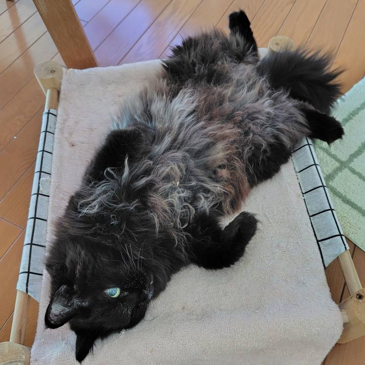 7745b39d 7b46 4548 a8d5 25dade6165d0 1772582220805