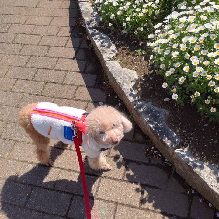 77460103 d2e7 48e7 ae3f 0e13e95813e5 1681011678099