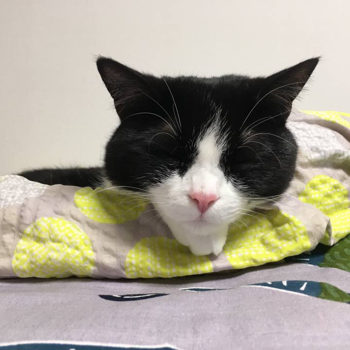 77461765 2374 4cfc 85d3 0881cee174f2 1595076961328