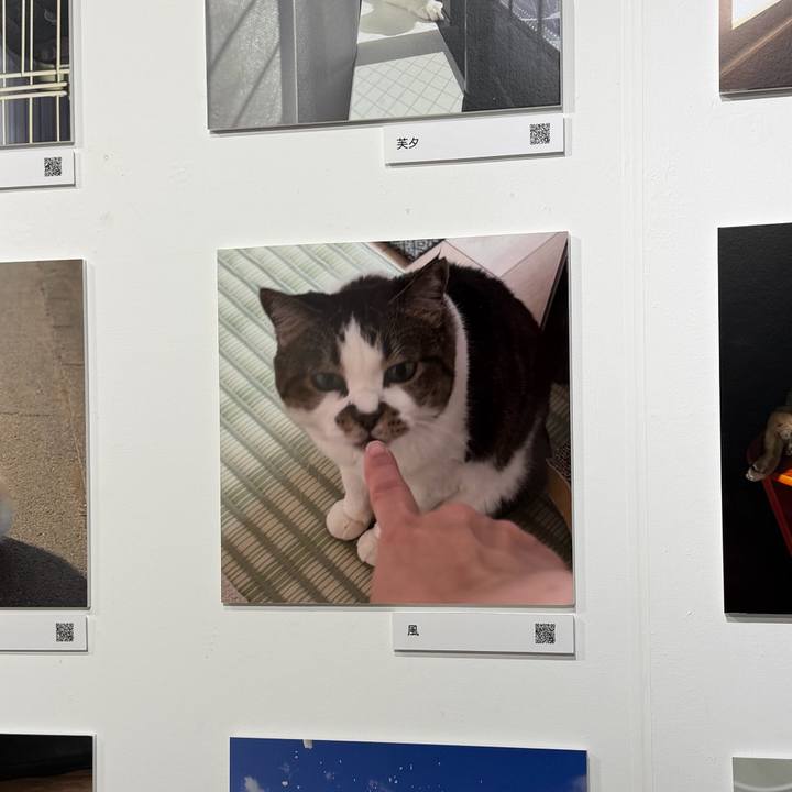 774662d5 dd2f 4020 9f6c 7b3b82b4e578 1762051775444