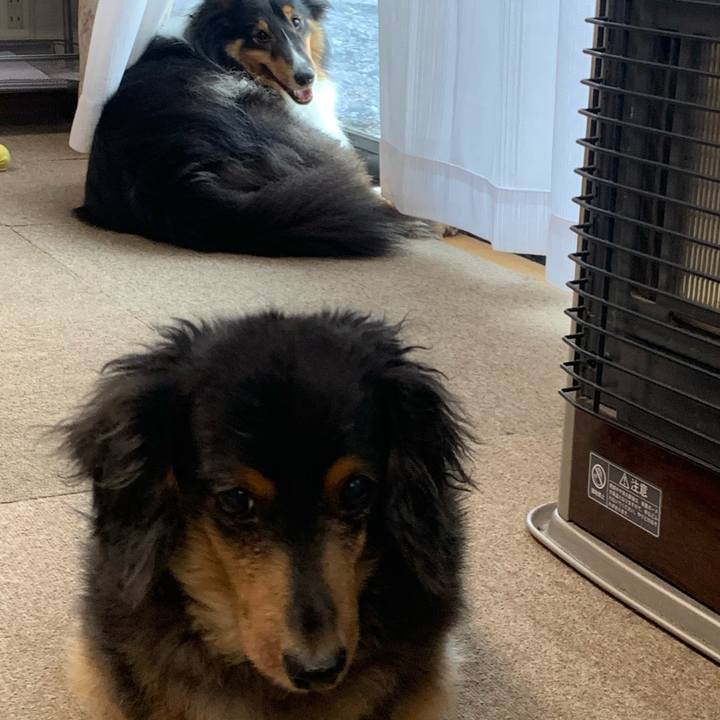 774663ae 6da4 422b bf34 c6f4f15e4c19 1599169833127