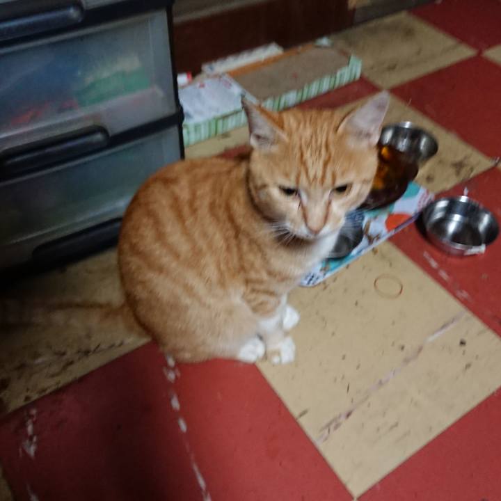 774689be 4882 43a5 9527 628315dc3792 1563219507522