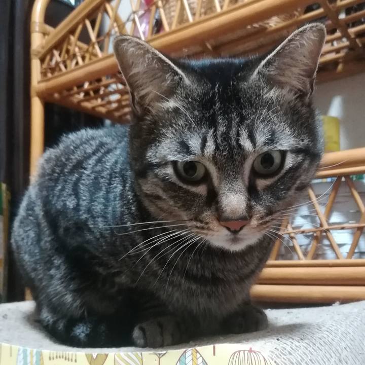 77468aeb af85 4e7c 97d4 045716a81bae 1519562441054