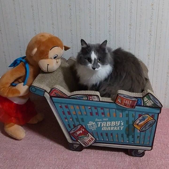 7746b2c0 995b 4789 92c0 a69b1845b191 1642416961571