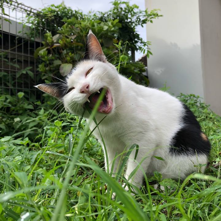 77470471 61ae 4c9c 9e07 a4b2a84b1d8a 1628982710139