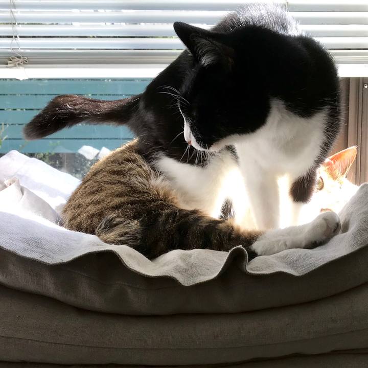 77470836 27dc 43a5 bb67 719ec6f9c716 1554450579157