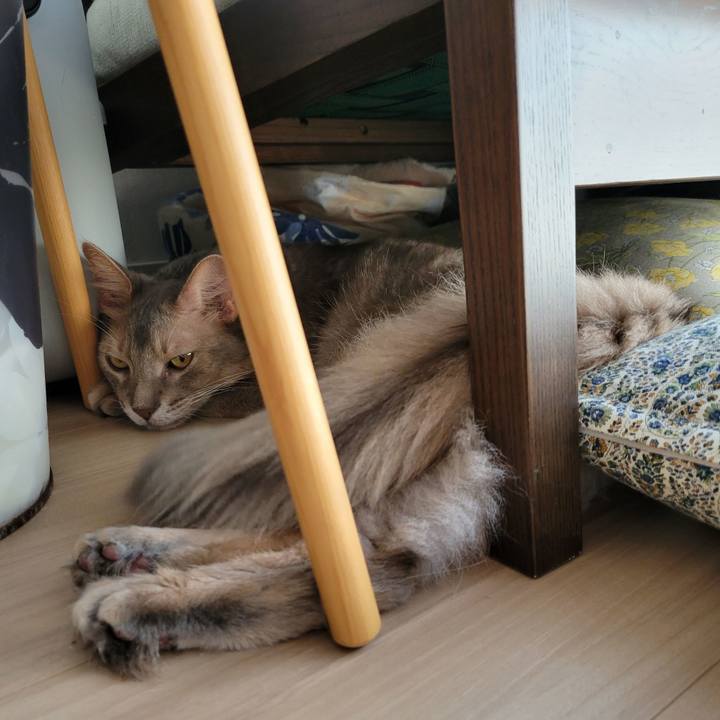 77473934 4dc0 4ca8 bf66 3baeab32b353 1664243832198