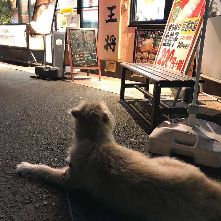 774758e5 6def 4b35 8026 dd343adeb6b4 1566564383914