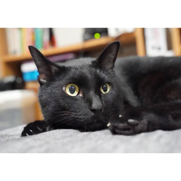 77477d8b 09b9 4470 a063 6b76691f4907 1666103075165