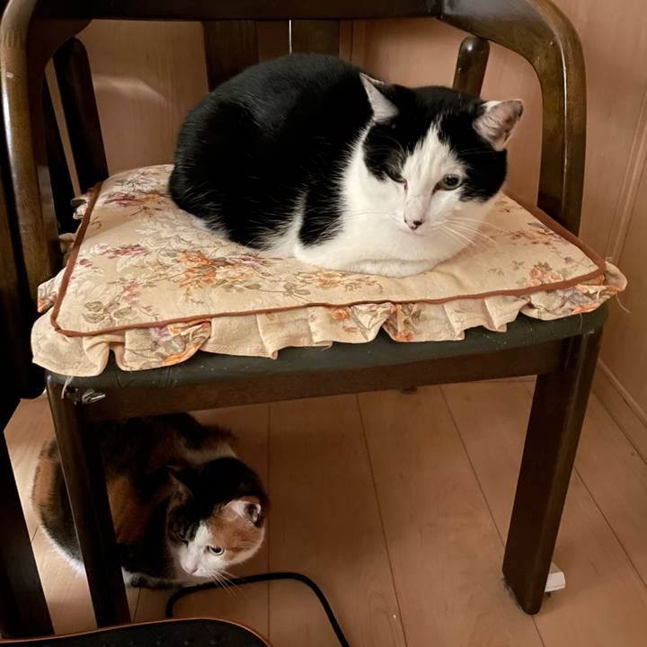 7747ba25 6d08 4bc7 9a78 75d73215e493 1678619380927