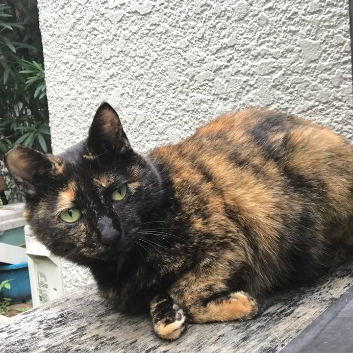 7747efae 6100 4fea ae05 d50dacb66f1e 1569110183515