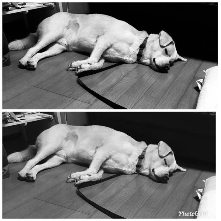 77481a27 dddf 47dd 99d5 d9cb0ad94c7f 1536847721206