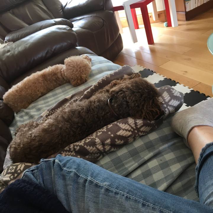 77483fab 2e0d 43bf 891a 849d53120a7d 1566736268901