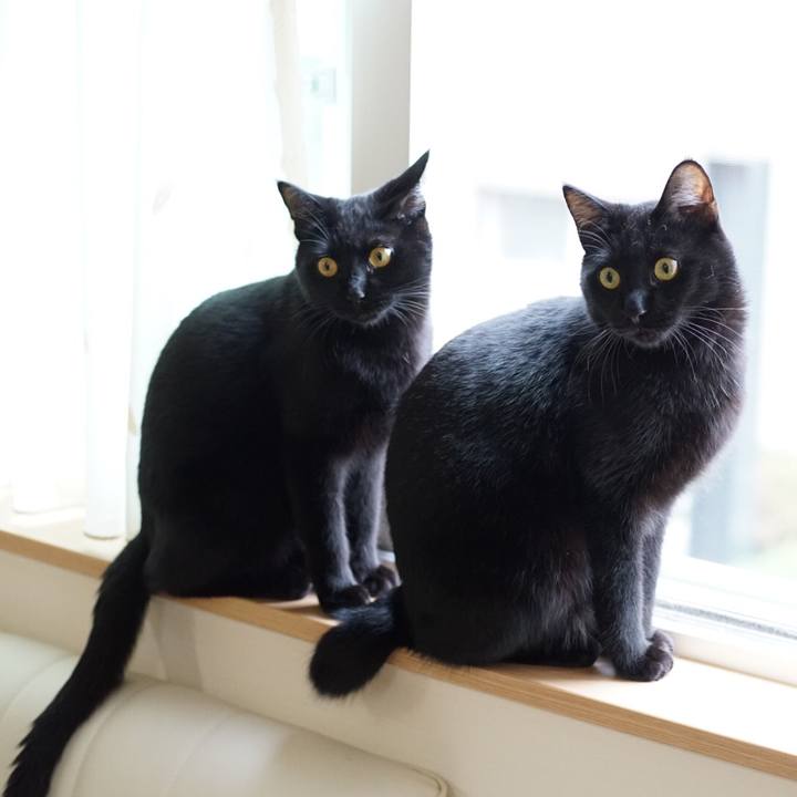 77484361 3db3 4636 b9a1 bb2531f46e3b 1528932963131