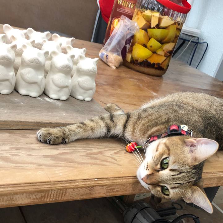 77486320 c33b 4ad8 9ed9 a762c1bd727c 1637239540137