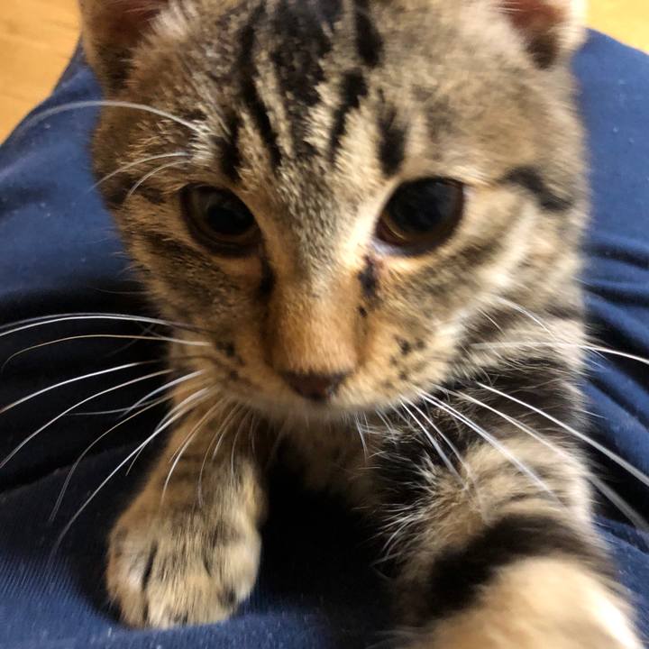 77486517 8def 43af a294 195f256a2f66 1733569299060