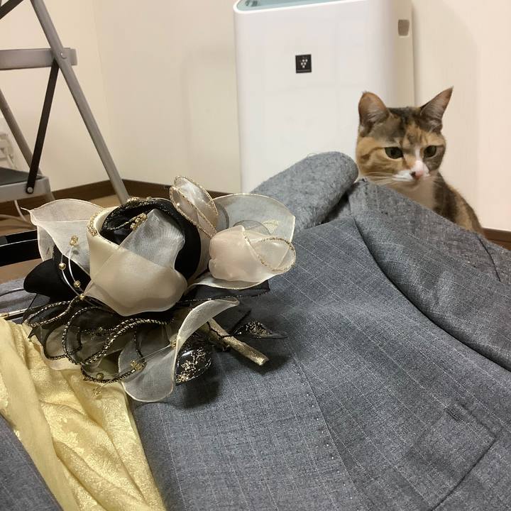 77486c79 54e7 491d b84b 902469502596 1646056697197