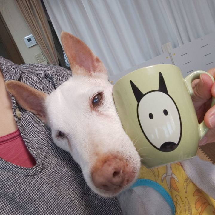 774874eb 2747 4c62 91b9 7b7e40613eb4 1568154559429