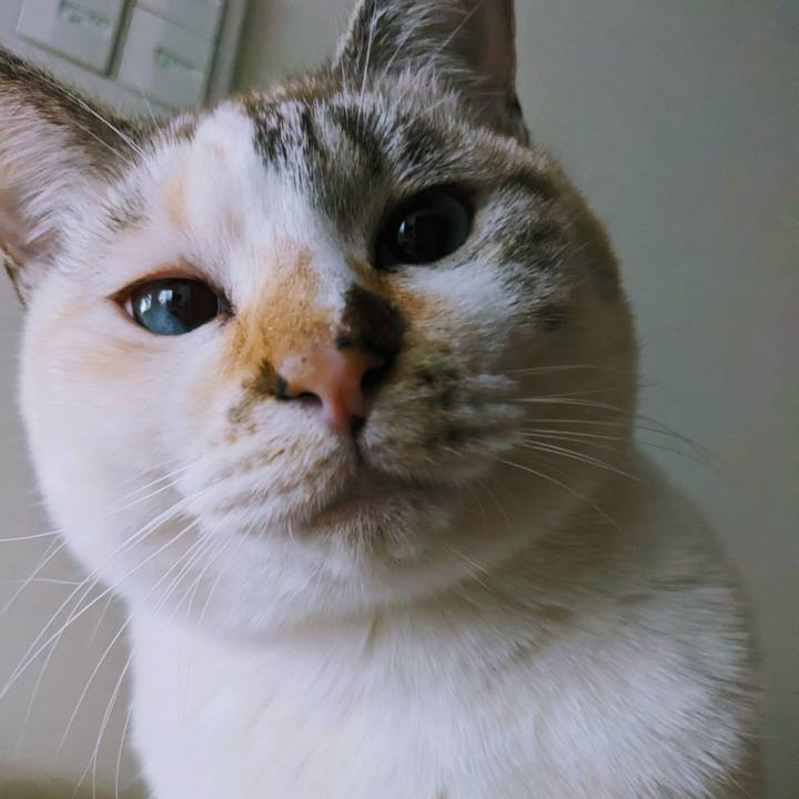 774891bb e396 4989 9dd2 33108af96210 1738332717973