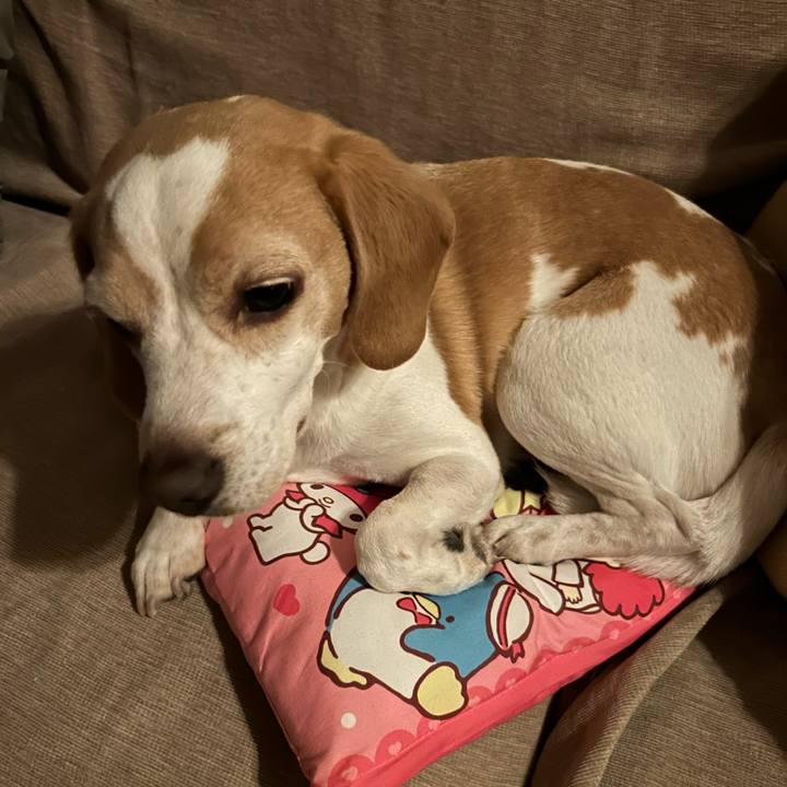 77489adc c7e0 4b3b 9925 fc90bf6c1f1b 1716166291846