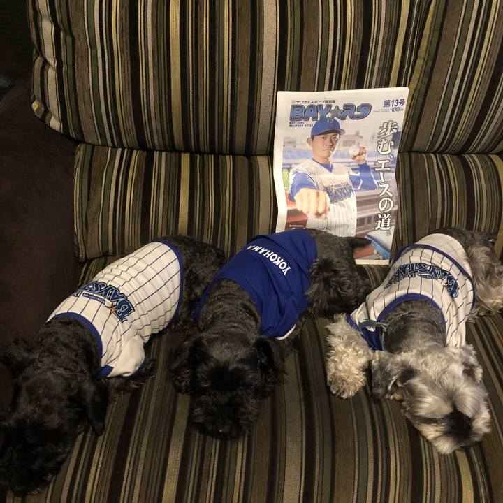 7748a213 cced 4792 8d88 17ab1f345daf 1559303605845