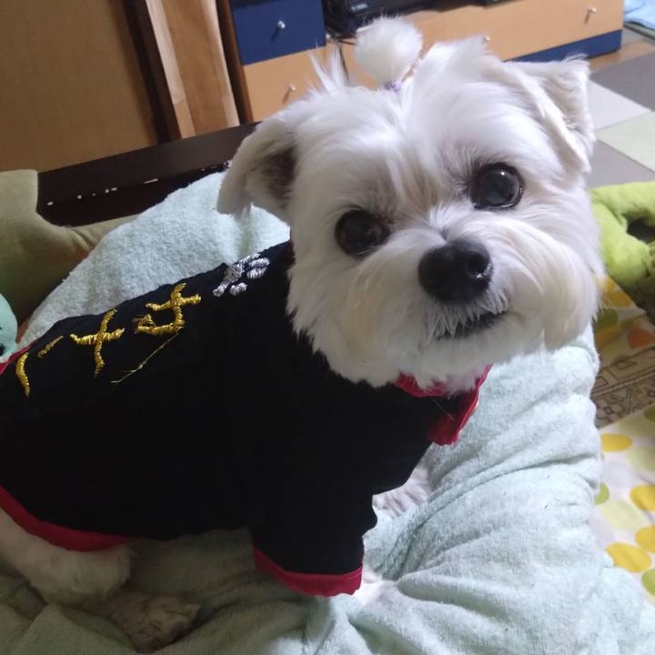 7748a725 9cd8 499e 9b34 7445a7840d67 1694525485960