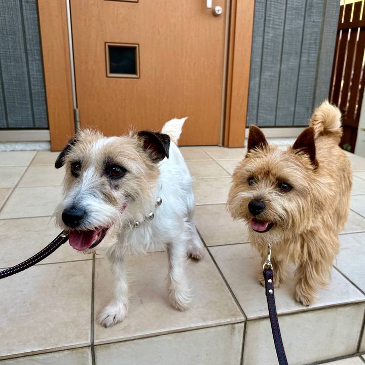 7748eb71 7627 4806 9f58 04b4b272abd9 1774758086009