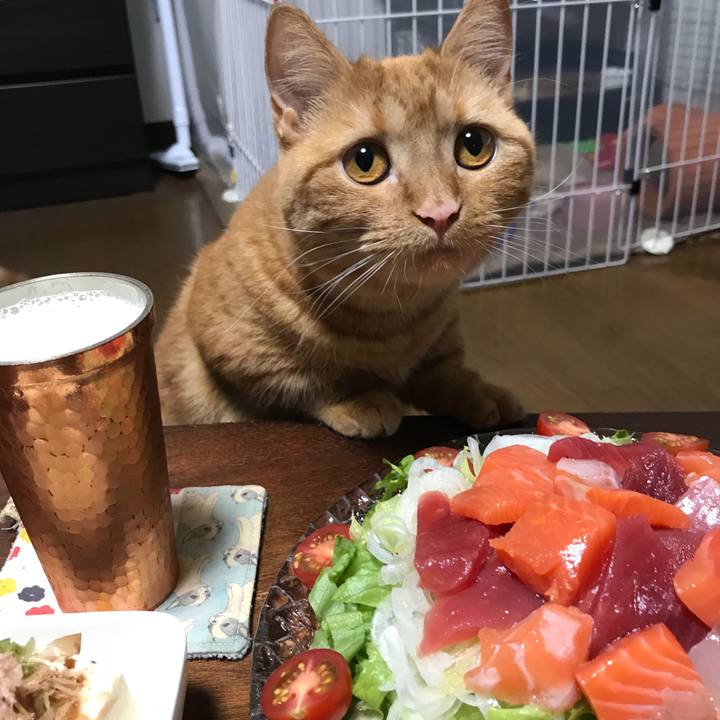 77491922 38bb 42a1 80f7 14b9faeea37e 1529581550858